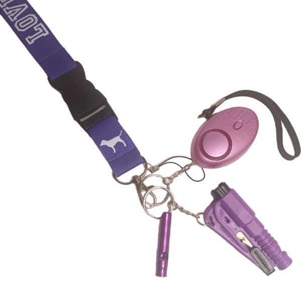 A Key Ring Color 4YOU